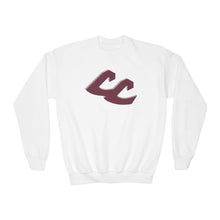 Load image into Gallery viewer, Youth Sweatshirt - Central