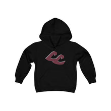 Load image into Gallery viewer, Youth Hoodie - Central