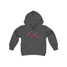 Load image into Gallery viewer, Youth Hoodie - Central